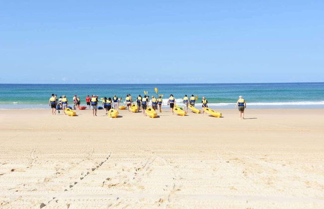 Dolphin View Kayak Tour - Foto 7