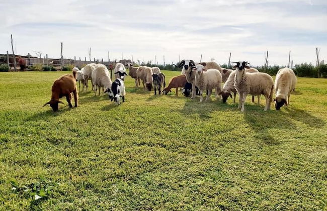 Bio et Bois - Foto 68