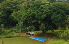 Sítio com piscina natural Cachoeiras de Macacu - Foto 44