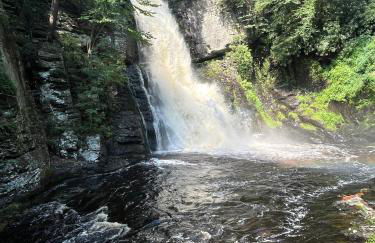 The Flying Dutchman Cottage in amenities filled Masthope community Ski Big Bear - Foto 29