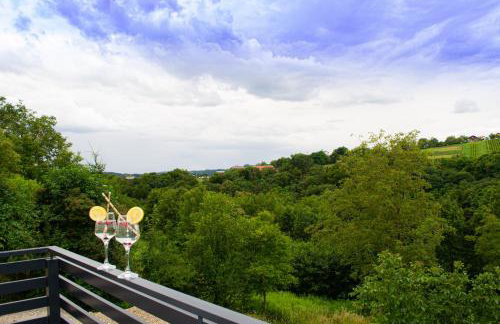 Kraljeva hiža - Apartmani i sobe Kralj - Foto 57