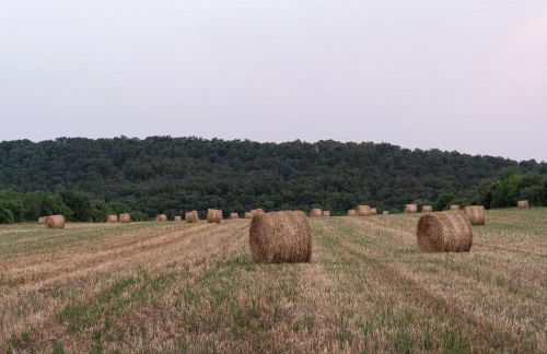 Tenuta di Paganico - I Roggeti - Foto 18