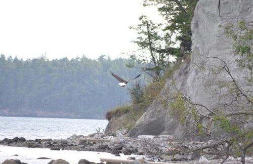 TideAway Farm on Private Island! Escape & Indulge Mother Nature! - Foto 42