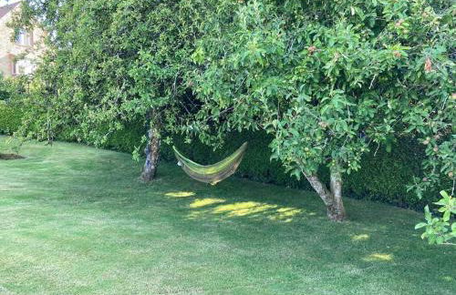 TheFunkyPigsty - Foto 25