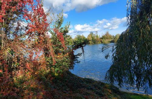 Les Seringats - Foto 36