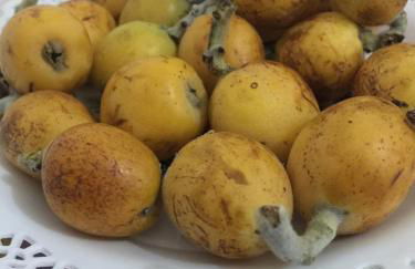 Sa Perda Lada - Foto 28