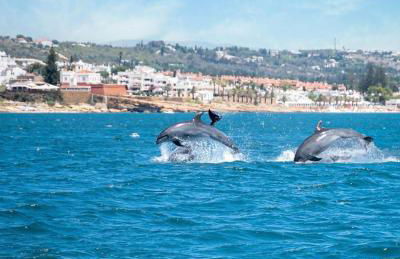 Casa 3 limões - Foto 38