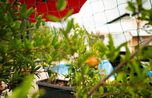 Villa Bistre - Foto 56