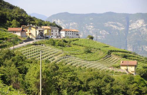 Agriturismo Eredi di Cobelli Aldo - Foto 6