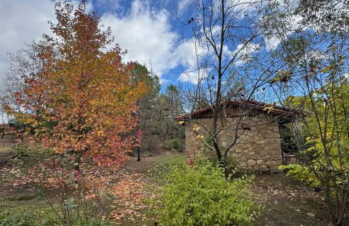 El Roble, casitas rurales - Foto 15