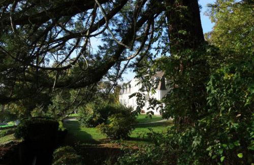 Gîte Château de Montboulon 4* Spa+piscine 14pers. - Foto 25