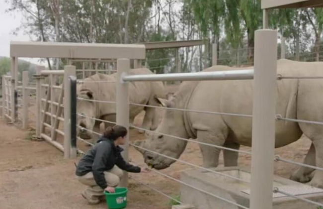 Ol Pejeta Holiday Villas - Foto 13