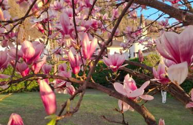 Ca' dei Molini - Foto 18