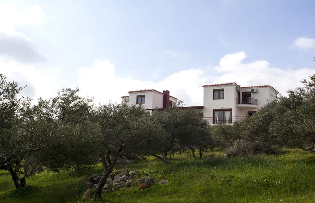 Foivos and Athina Villas - Photo 40