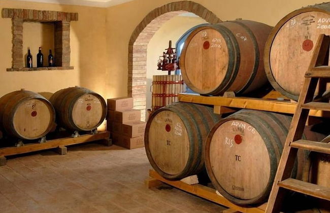 Verdidea - PODERE MONTI - Photo 62