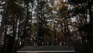 Little Red Cottage in the Woods - Foto 3