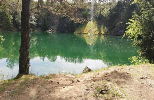 Ferienwohnung Bergwiese - Foto 16