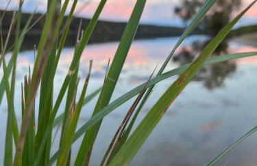 Cottage an der Elbe Tespe Hamburg - Foto 27