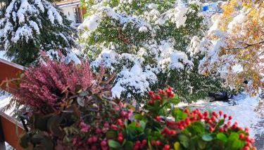 Casa con vista - Foto 4