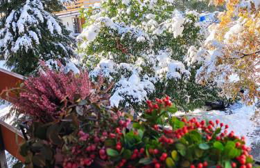 Casa con vista - Foto 33