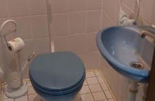 Laukarts Garden - Foto 21