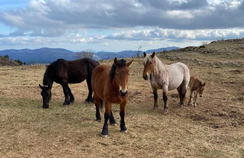 Apartamento con encanto en el Pirineo - Foto 22
