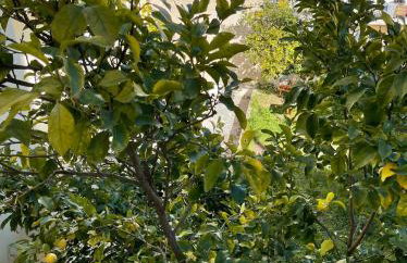 Adrianos House by the sea - Photo 19