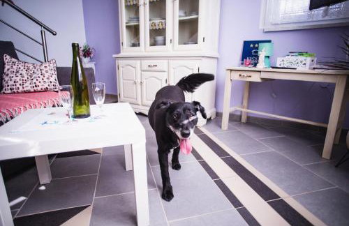 KUĆA ZA ODMOR JURINO GNIJEZDO - Foto 13