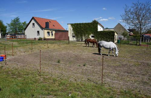 Barrierefreie Ferienwohnung Trüben (Zerbst/Anhalt) - Foto 15
