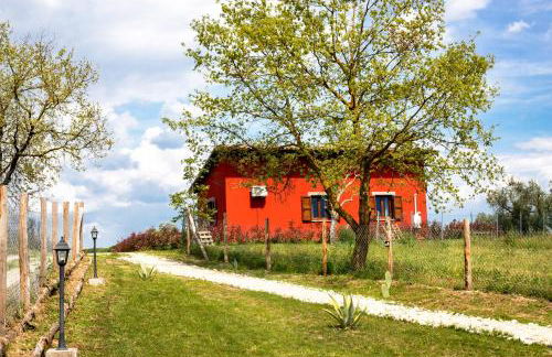 Agriturismo Poggio Degli Ulivi - Foto 30