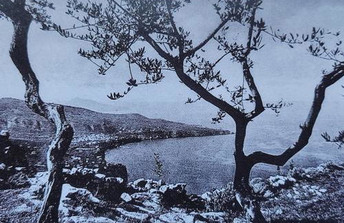 J'Adore Sorrento - Photo 31