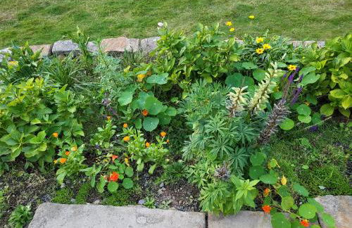 Souterrainwohnung im Grünen - Foto 42