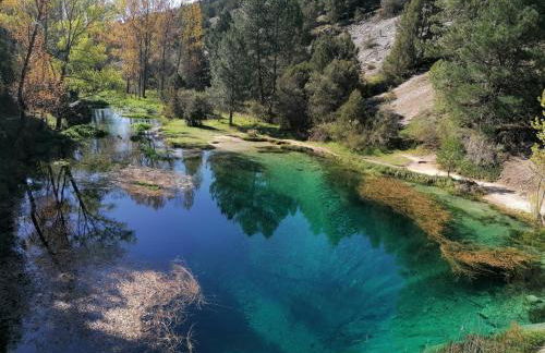 Anatiduero - Foto 25