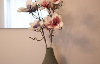 La casa di Anna green - Foto 18