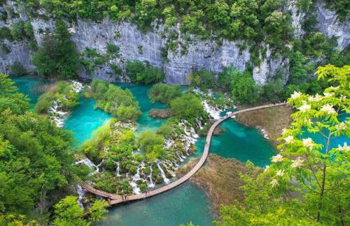 Villa Zora - Oaza mira u srcu Like - Foto 27