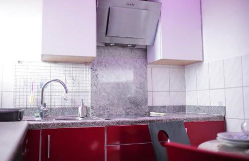 2 Zimmer Wohnung mit Küche und Terrasse - Foto 4