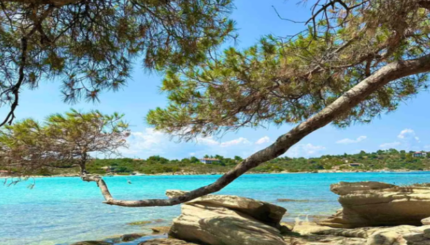 Thessaloniki: Blue Lagoon Cruise & Ammouliani Island - Photo 4