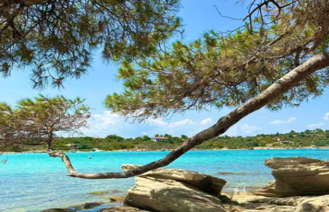 Thessaloniki: Blue Lagoon Cruise & Ammouliani Island - Photo 4