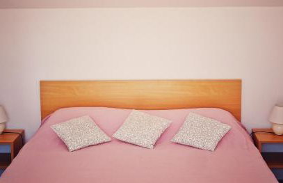 Ruzicin dvor - Photo 15