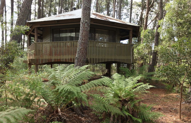 Federation Gardens & Possums Hideaway - Foto 6