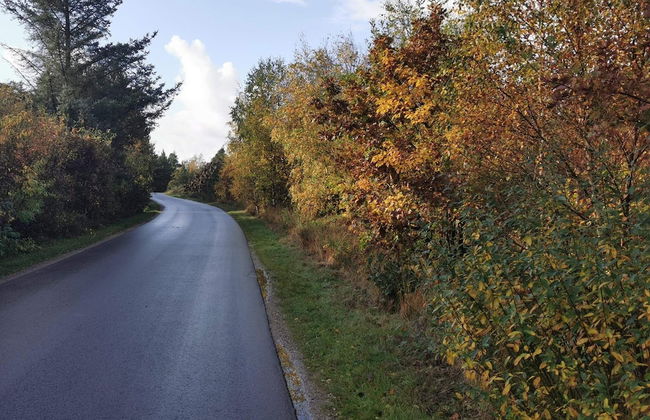 7 Person Holiday Home in Henne-by Traum - Foto 8