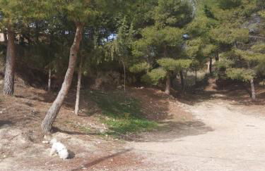 Casa Rural Puente Del Segura - Foto 44