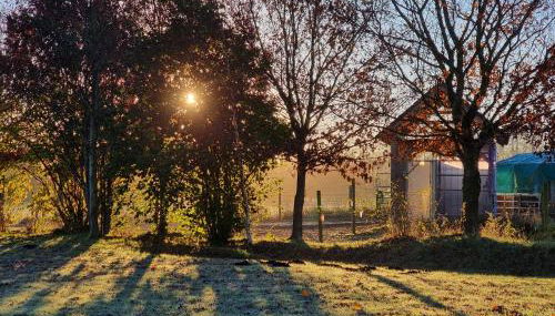 Ferienwohnungen Sund Ostfriesland - Foto 2, Garden