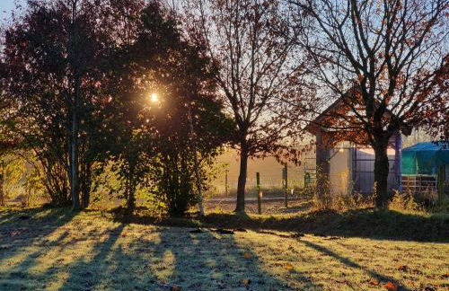 Ferienwohnungen Sund Ostfriesland - Foto 2
