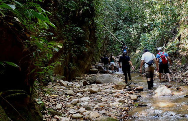 Trekking lungo la Ruta de Indiana Jones + Cascata Borgoña - Foto 5