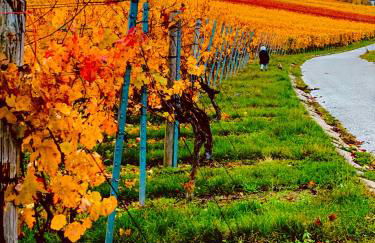 Aurum Apartment - Foto 23