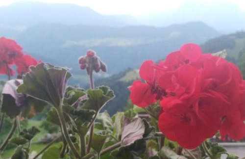 Mitterhofer Appartements - Foto 1