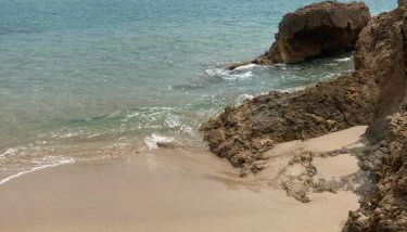 Tommy's House Pinus Village Chia - Foto 3