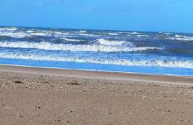 Le colibri - Photo 28