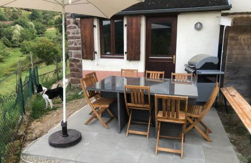 Maison pittoresque à Sainte-Croix-aux-Mines, vue sur la montagne - Foto 44